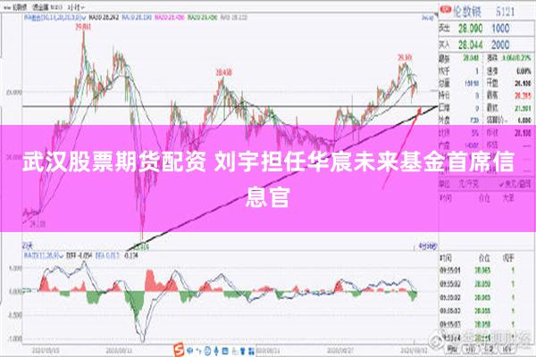 武汉股票期货配资 刘宇担任华宸未来基金首席信息官