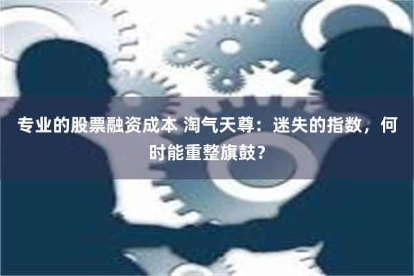 专业的股票融资成本 淘气天尊：迷失的指数，何时能重整旗鼓？