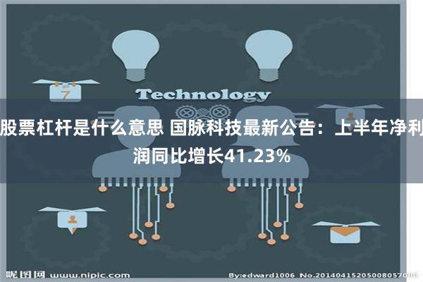 股票杠杆是什么意思 国脉科技最新公告：上半年净利润同比增长41.23%