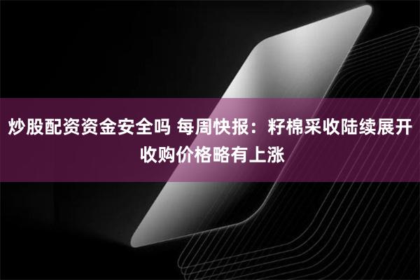 炒股配资资金安全吗 每周快报：籽棉采收陆续展开 收购价格略有上涨