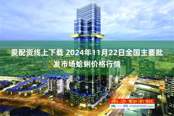 爱配资线上下载 2024年11月22日全国主要批发市场蛤蜊价格行情