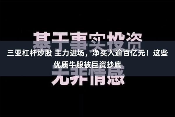 三亚杠杆炒股 主力进场，净买入逾百亿元！这些优质牛股被巨资抄底